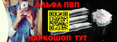 СК Гатчина