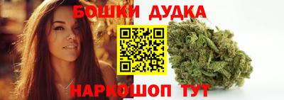 СК Гатчина
