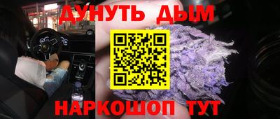 СК Гатчина