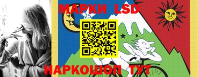 гашик Гай