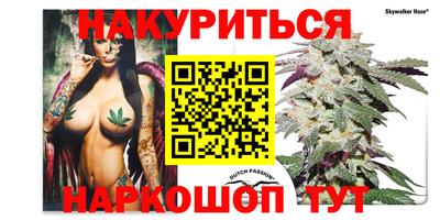 гашик Гай