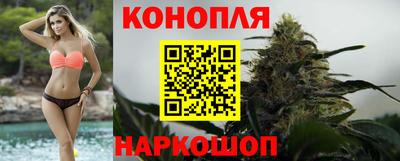 СК Гатчина