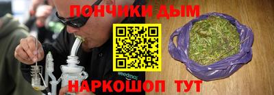 СК Гатчина