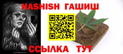 СК Гатчина