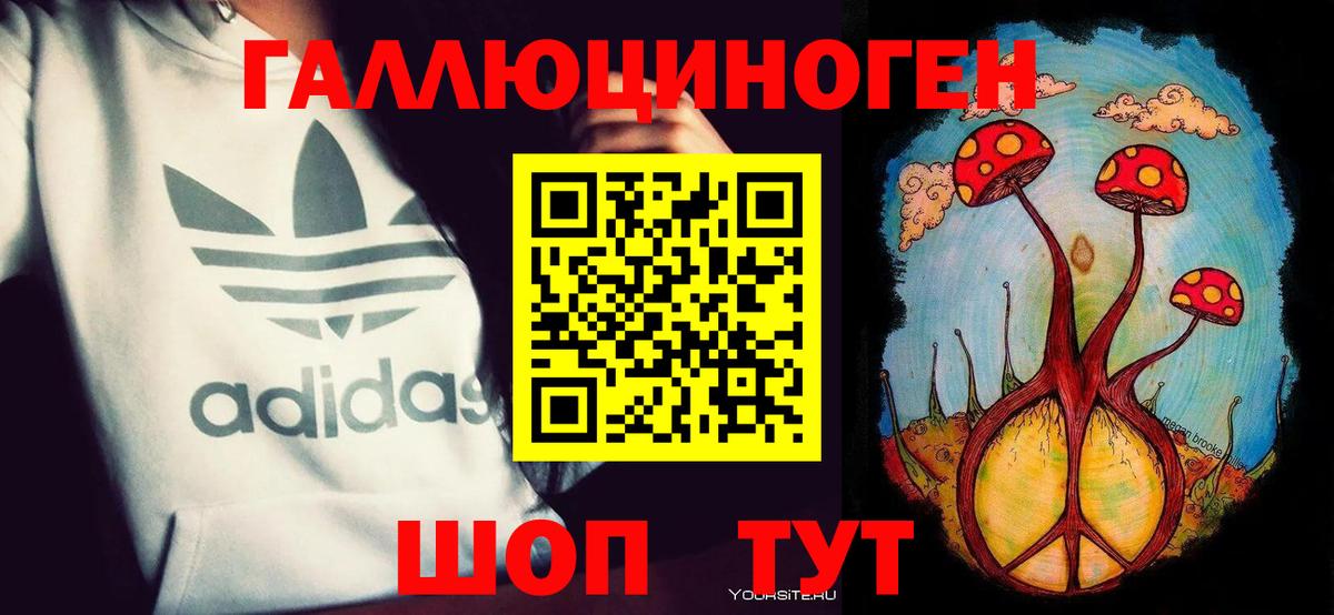 Елец  Галлюциногенные грибы прущие грибы  Вход с VPN  Галлюциногенные грибы мицелий 